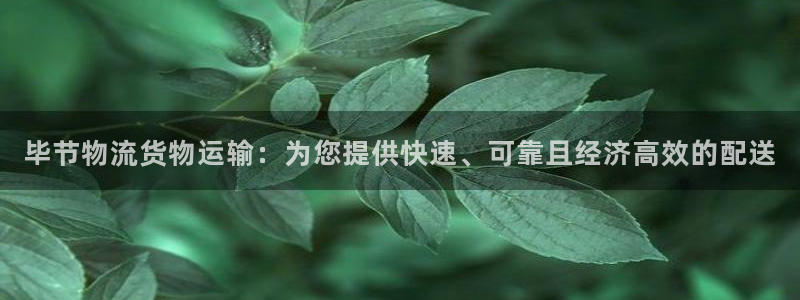 毕节物流货物运输：为您提供快速、可靠且经济高效的配送
(图1)